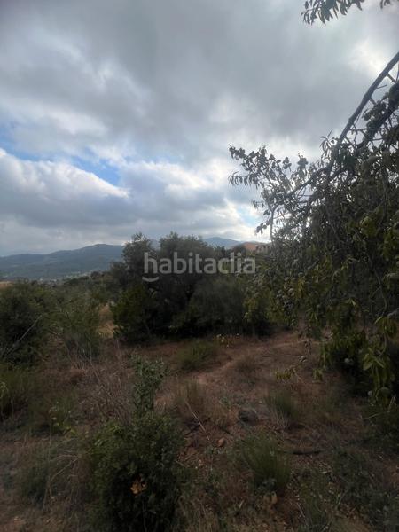 Foto e8dcb5af-0fe2-4e57-a5d2-6f2fbe141878. Fondo rustico in Alforja