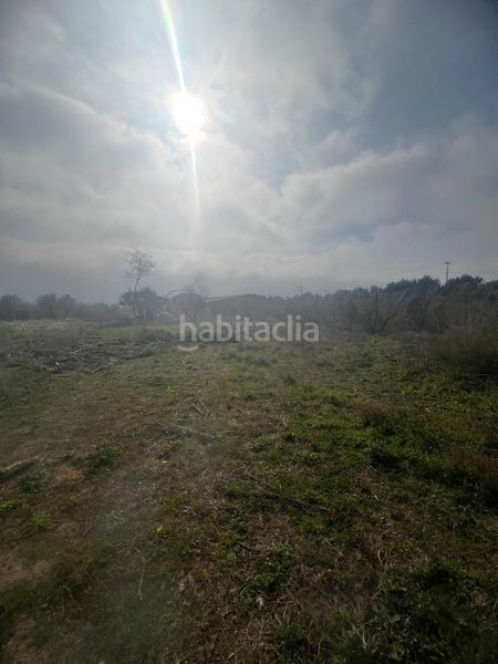 Foto 1d3b3f9f-3152-4b2c-a6cc-6b20c63d7a87. Masia a Riudoms