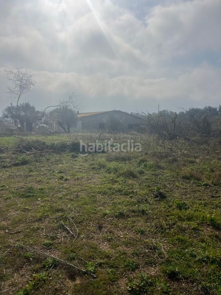 Foto 3bffd365-5f62-4720-ade4-e2dbb23c9584. Masia a Riudoms