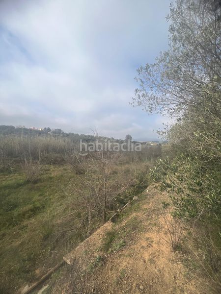 Foto 679cdfec-a60d-4e54-90e1-bb046d7c9d6a. Masia a Riudoms