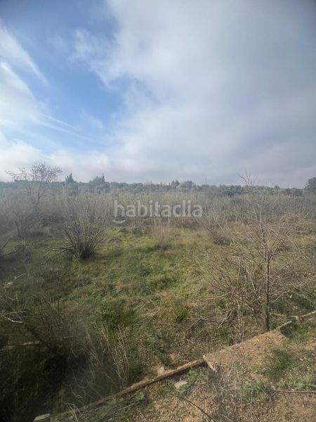 Foto 893ee133-c595-40cc-a219-232d7728fc52. Masia a Riudoms