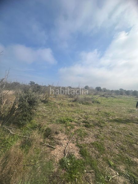 Foto 9e50c2da-eaad-41d0-b0bb-204946b7f035. Masia a Riudoms