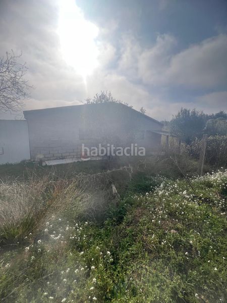 Foto cc57da6a-5ae2-4319-bc59-a2b4905f6a74. Masia a Riudoms