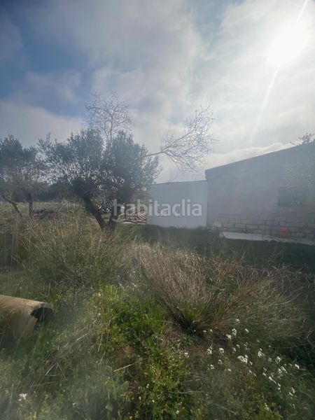 Foto cf07b36e-2f8f-42c3-ad3f-59d1fc239a04. Masia a Riudoms