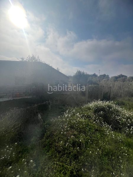 Foto d22204f3-dc49-403a-b477-f6fc5f2fafd7. Masia a Riudoms