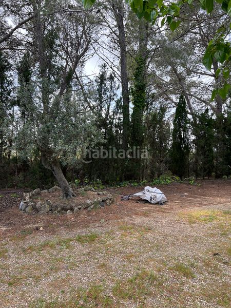 Foto 0cf1a236-d0cf-4e59-9584-237a1df10a11. Finca rústica a Botarell