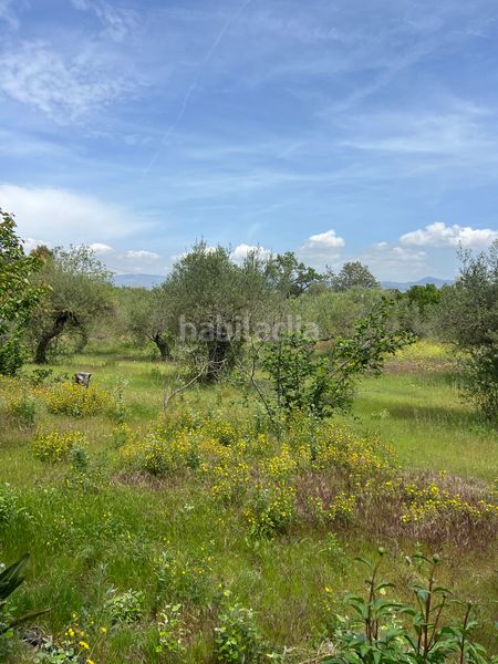 Foto 1054bc7d-f6a0-4a4c-999b-f4398e0a5c47. Finca rústica a Botarell