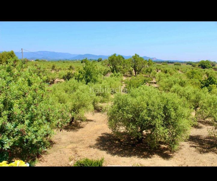 Foto 6fce1c9a-1a41-4fd6-970f-11f27ec48dca. Finca rústica a Botarell