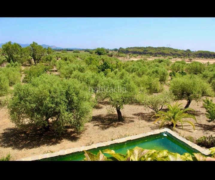 Foto a45abe4d-864a-4995-8d4e-935cd77171d5. Finca rústica a Botarell