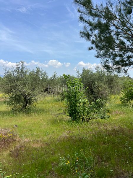 Foto da401055-56ae-4880-89c7-913158eb4b4a. Finca rústica a Botarell