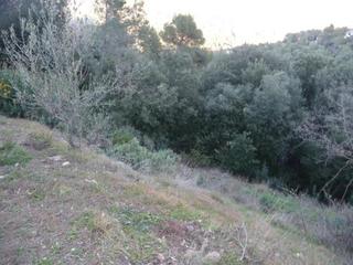 Terreno residencial en Matadepera