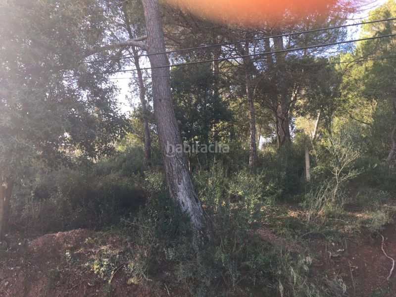 Foto 2ab576ca-18e9-4722-854d-1e4a214d05e8. Finca rústica a Vacarisses