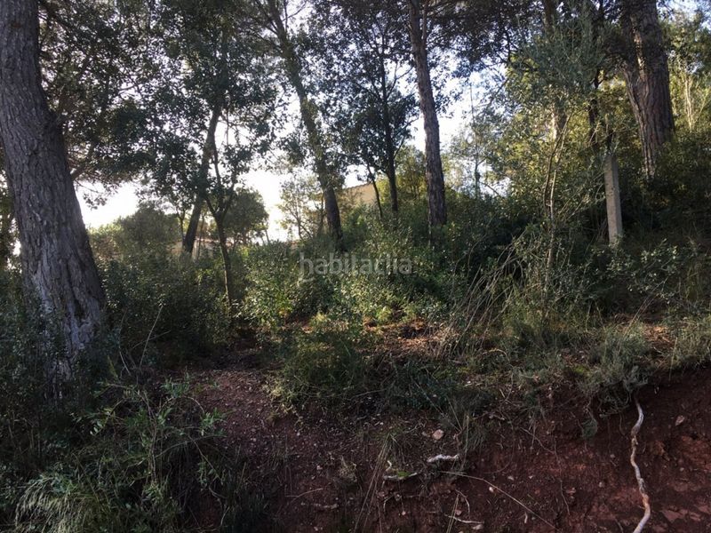 Foto 818206fe-45b8-460c-952f-5ed5301acf21. Finca rústica a Vacarisses