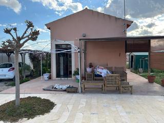 Masia a Pedanías Oeste. Chalet y casa container mas terreno olivos en la romana