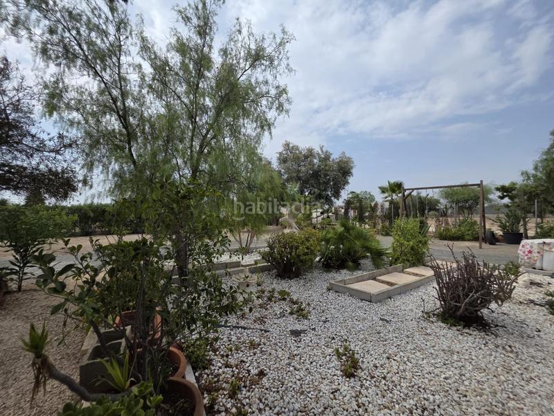 Foto 3ad6334f-007c-472c-a085-246ab5c24a0a. Chalet casa independiente con terreno en daimes elche proindiviso en Elche / Elx