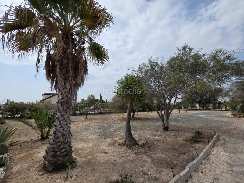 Foto 54e01c7f-79ed-40f4-a738-4cff69b8db35. Chalet casa independiente con terreno en daimes elche proindiviso en Elche / Elx