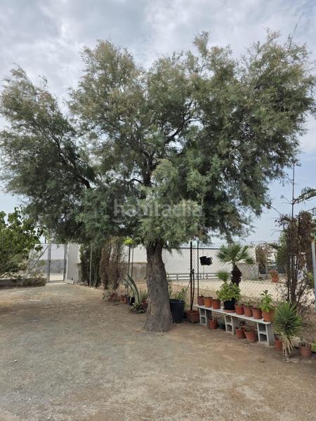 Foto 573c96e1-51ea-4c7c-81f3-39bd122ea158. Chalet casa independiente con terreno en daimes elche proindiviso en Elche / Elx