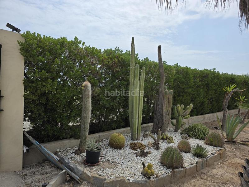 Foto c7997822-a479-437e-8b6d-206df0ad49cf. Chalet casa independiente con terreno en daimes elche proindiviso en Elche / Elx