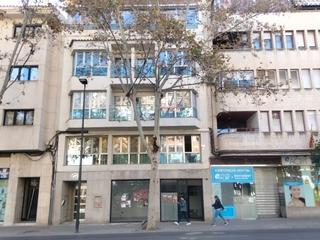 Business premise in Florida Baja