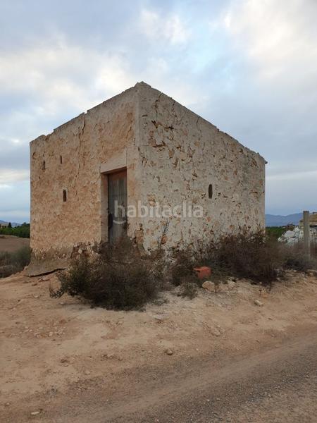 Foto 818fc0ec-2984-42f3-88a6-631d1c59d759. Finca rústica a La Marina Elche / Elx