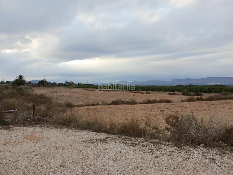 Foto a46c008a-155b-4d72-9bd7-478d7dc1bfa8. Finca rústica a La Marina Elche / Elx
