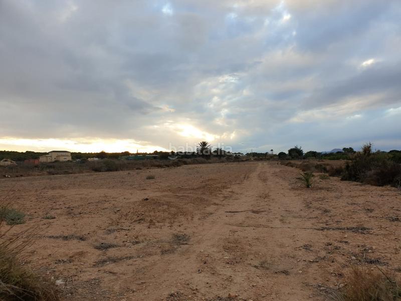Foto be32de95-5491-4d50-b640-5e0267c658cb. Finca rústica a La Marina Elche / Elx