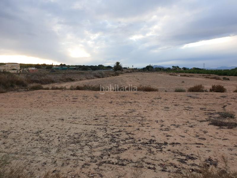 Foto c758351e-f213-4492-b79e-d58e362294e4. Finca rústica a La Marina Elche / Elx