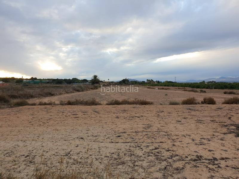 Foto e50b2a87-7884-49cc-a713-9961c6dde0cf. Finca rústica a La Marina Elche / Elx