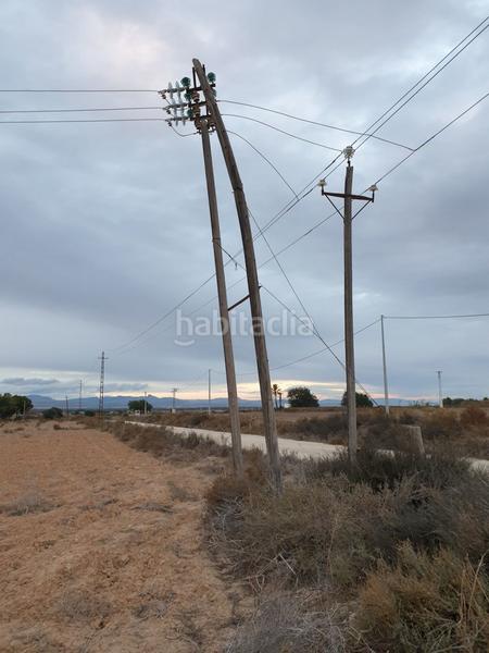 Foto 7b42e6fc-efb7-4dbd-a1f0-dda0ef9c5b91. Landgut in La Marina Elche / Elx