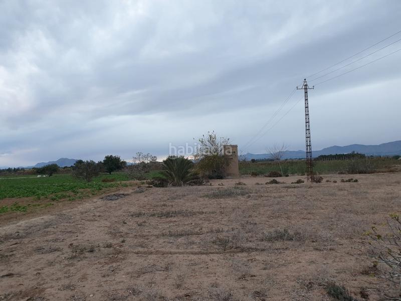 Foto afa31c5e-4989-42d1-9381-72c50df3b417. Landgut in La Marina Elche / Elx