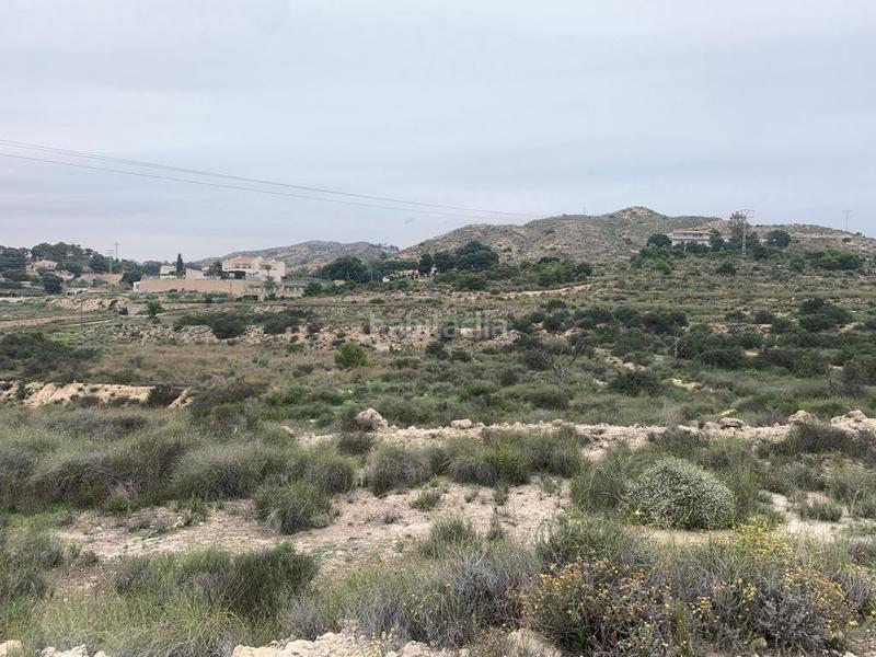 Foto 150ce8ef-1893-4375-a713-f365a3dc7c8d. Fondo rustico in Peña de las Águilas Elche / Elx