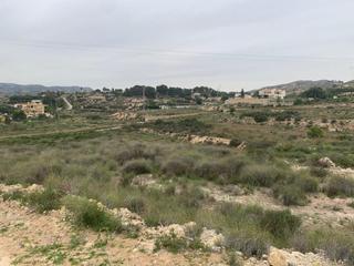 Finca rústica a Peña de las Águilas. Terreno para cultivo carretera de aspe