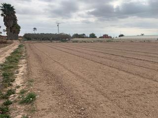 Finca rústica a Algorós - El Derramador. Se vende terreno rústico cerca de algorós