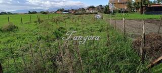 Finca rústica  Iturriane estrata. Preciosa  parcela rural en andra mari. getxo.