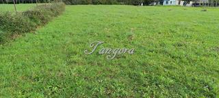 Terreny residencial  Iturriane estrata. Preciosa  parcela rural en andra mari. getxo.