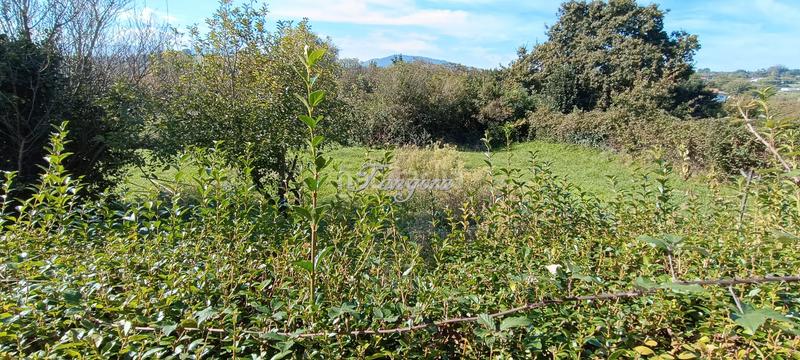 Foto 95b0cf00-3976-4c4f-9a00-35043563aa1f. Chalet mit kamin heizung parking in santa maría de Getxo Getxo