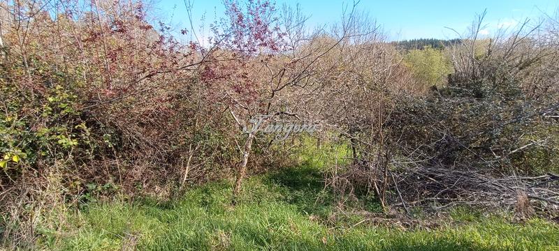 Foto e352fa31-eb70-44d0-a022-30d4b9bbc443. Masia a Morga