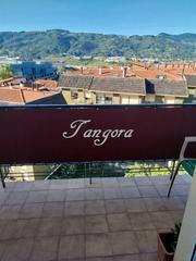 Piso  Luis galdos kalea. Precioso piso con buena altura, lleno de luz en portugalete