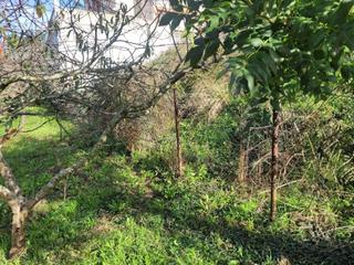 Terreno residenziale  Barrio baltezana s/n