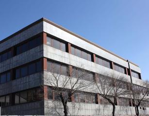 Miete Büro  Calle autonomía  baja