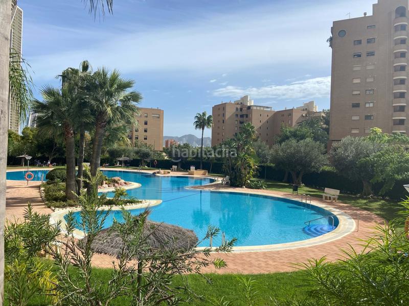 Foto c85fde43-130f-4046-88fc-ed6b7761ad42. Aparcament cotxe a Playa Poniente Benidorm