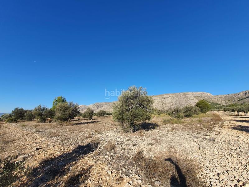 Foto 013eafd1-a09d-4713-a718-d604e1079665. Terreno residencial en San Francisco Villena
