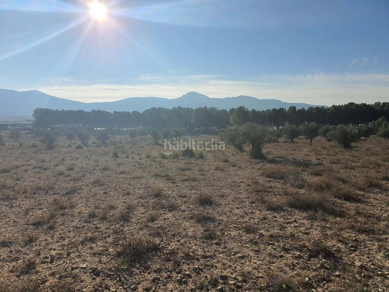 Foto 625cbccd-04c5-46b7-98d7-8ec7dfc268aa. Terreno residencial en San Francisco Villena