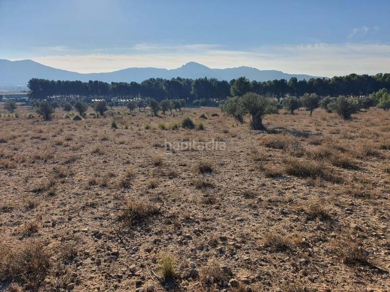 Foto 6e271859-1c5b-4f46-a6e6-9acb3901194d. Terreno residencial en San Francisco Villena