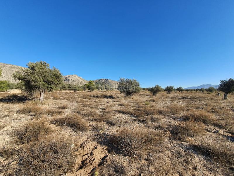 Foto 6f8c8a1d-d5d4-466c-84b4-854a35bd4e1a. Terreno residencial en San Francisco Villena