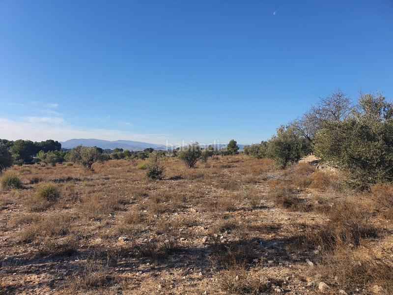 Foto 70d971d1-d725-4934-8265-e890843e8201. Terreno residencial en San Francisco Villena