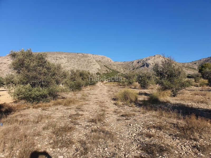 Foto c0b4e0f7-14d9-45bf-8ca4-1a5889337895. Terreno residencial en San Francisco Villena