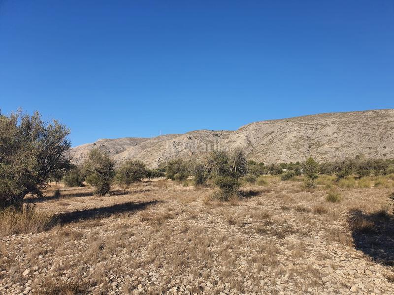 Foto c150252d-4632-462b-a1bc-6c4c8daef487. Terreno residencial en San Francisco Villena