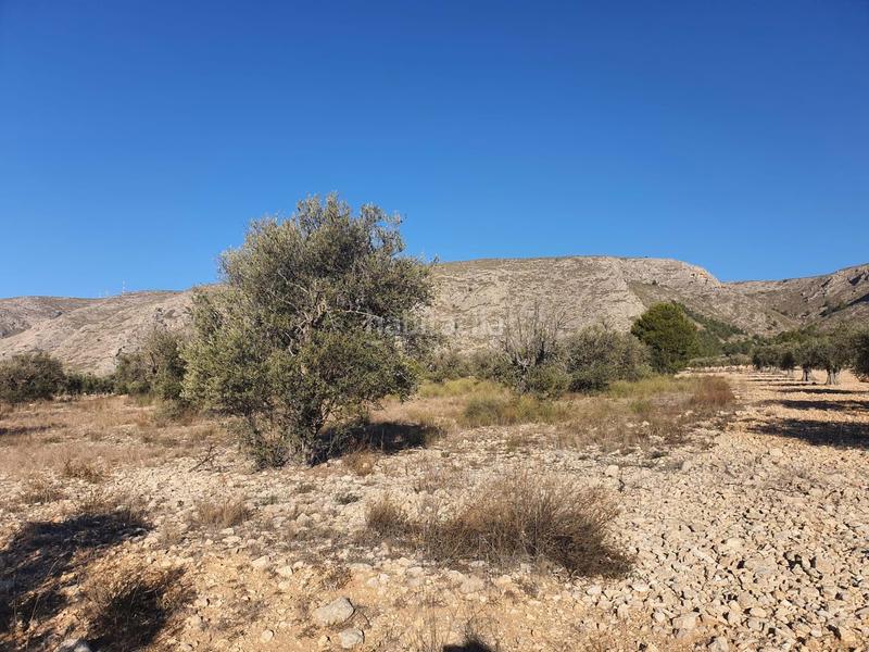 Foto c48ba35e-b929-4f30-9473-8dce4f9d20b6. Terreno residencial en San Francisco Villena