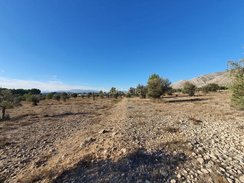 Foto d5e9e549-0273-48e0-86d6-7dc7d4bcee72. Terreno residencial en San Francisco Villena